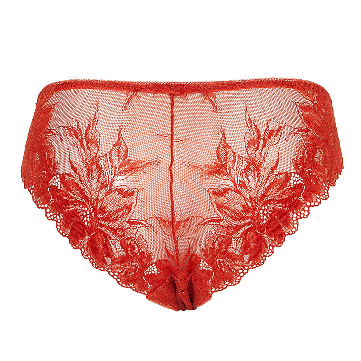 HUIT - Brandy - Culotte